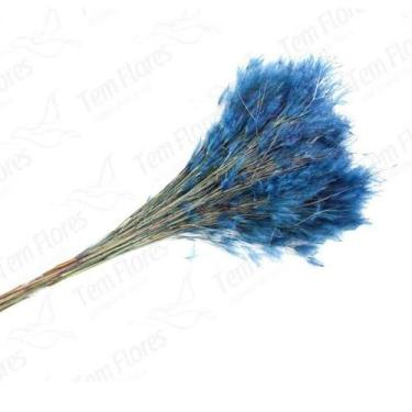 Imagem de Pluminha Flor Desidratada Variações Natural - Pense Flores, Azul