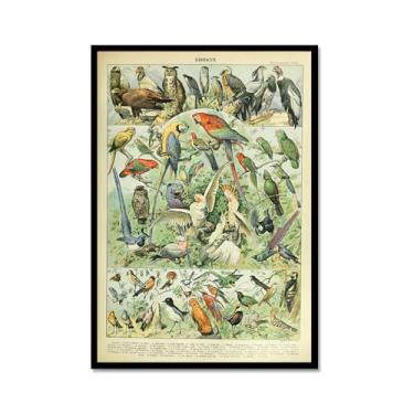 Imagem de Pôster vintage de pássaros franceses ornitologia impressão de pássaros presentes para pássaros educação arte de parede pintura em tela sala de estar decoração de casa (SKU2,16x24" = (40x60 cm
