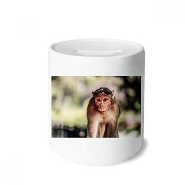 Imagem de DIYthinker Caixa de moedas de cerâmica com organismo terrestre de macaco, porta-moedas