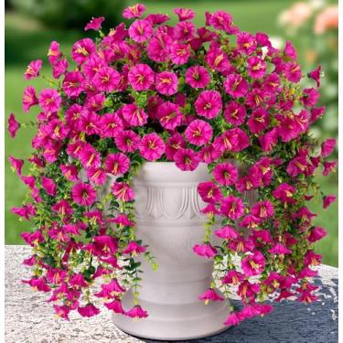 Imagem de 2 peças de plantas artificiais artificiais para decoração ao ar livre, glória matinal de seda falsa com eucalipto resistente a UV trepadeira realista para parede, varanda, pátio, varanda, quintal,