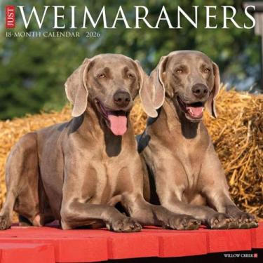 Imagem de Calendário de parede Weimaraners 2026 30,5 cm x 30,5 cm
