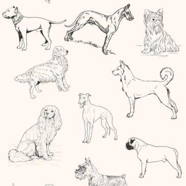 Imagem de Papel De Parede Adesivo Lavável Aviário 3m - Colaí