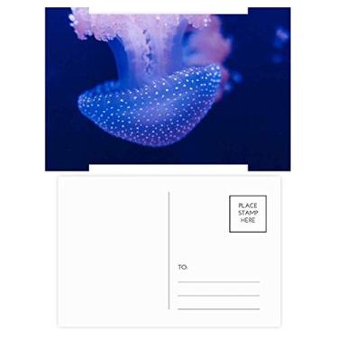 Imagem de Medusa Marine Organism Tropical Sea Christmas Flower Celebration Cartão postal de bênção