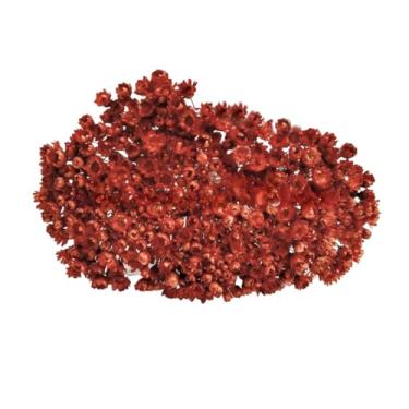 Imagem de SEMPRE VIVAS FLORZINHAS DESIDRATADAS PARA LEMBRANCINHAS ARRANJOS DE MESA CASAMENTOS MAÇO ORGANIZADO(MARROM)