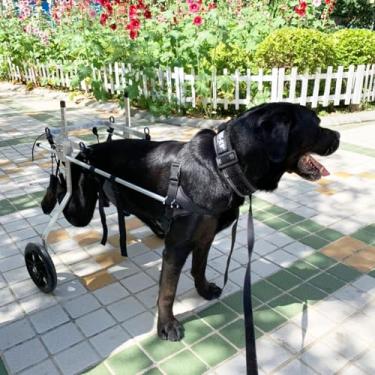 Imagem de Cadeira de rodas para cães paralisados - Suporte de perna traseira de 2 rodas, auxílio de mobilidade para animais de estimação feridos, tamanhos M/G/GG/XXL/XXXL, suportes de perna de cachorro