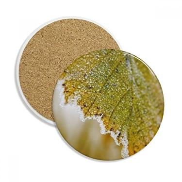 Imagem de Tender Leaf Plant Picture Nature Porta-copos Caneca de proteção de mesa Pedra absorvente