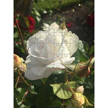 Imagem de Kit 15 Quebra-Cabeça Cognitivo Reabilitação para Idosos - Flores e Rosas