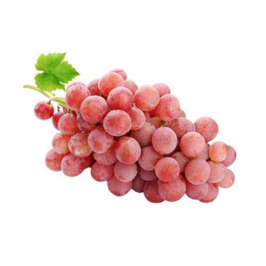 Imagem de Muda Frutífera de Uva Niágara Rosada Enxertada - AgroJardim