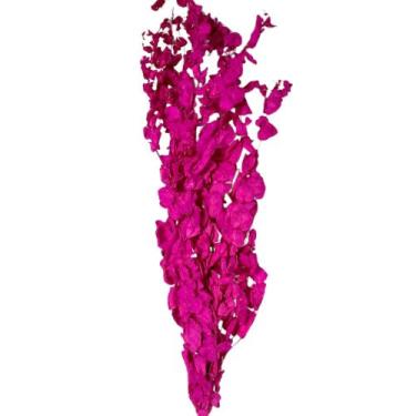 Imagem de Buquê Eucalipto Pink Desidratado Seco Para Arranjo Decoração - FLORA F