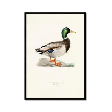 Imagem de Impressão de pato vintage rústico Pato Pato Pato Lago pôster de arte de parede retrô natureza pintura em tela imagens decoração de quarto de fazenda (SKU2,20.3x30.5 cm = (20x30cm), moldura de metal