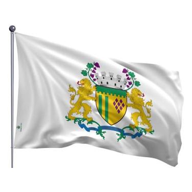 Imagem de Bandeira do Município de Caxias do Sul Uma Face Estampada Tamanho 70x1