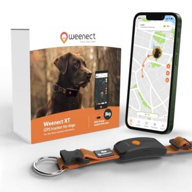 Imagem de Weenect Dog XT - Nova coleira GPS para cães | Antena XL | Impermeável | Coleira Julius-K9 integrada ultradurável | Assinatura necessária