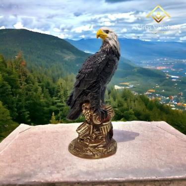 Imagem de Gavião Espanta Pombo E Passarinho Grande 52 Cm Pronta Entrega - AVB DE