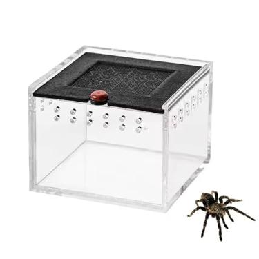 Imagem de LinaLife Caixa de aranha para animais de estimação de 8,9 x 6,3 cm, réptil, gatinhando, alimentando, lagarto, bicho-da-seda, bebê, escorpião, unicórnio, besouro, inseto, casa, caixa de acrílico preta