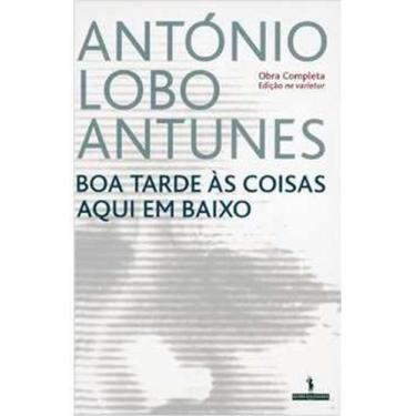 Imagem de Livro Boa Tarde Às Coisas Aqui Em Baixo (António Lobo Antunes)