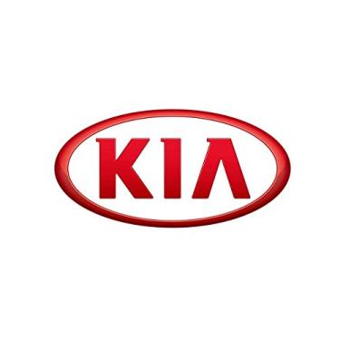 Imagem de Kia Placa de suporte de freio de estacionamento 58251-2P500