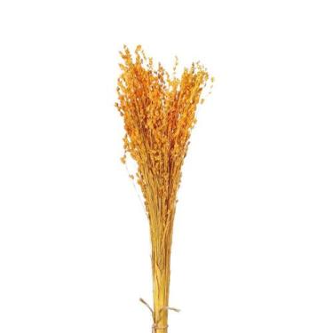 Imagem de Planta Desidratada Flor de Vassoura Laranja - Conjunto com 03 Galhos -