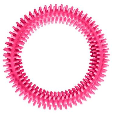 Imagem de Brinquedo para Cães Interativo Espinho Anemona Grande Nospet, Rosa