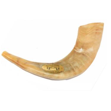 Imagem de Shofar Chifre De Carneiro De Tocar - 35 A 39 Cm - De Israel