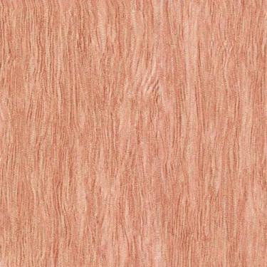 Imagem de Papel de Parede Barbara Home Collection 860245 - Rolo: 10m x 0,53m - R