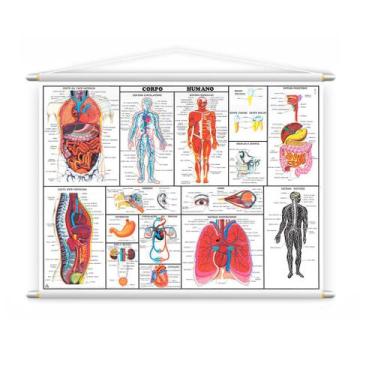 Imagem de Banner Didático Corpo Humano Completo Medicina 140x100cm - PlimShop