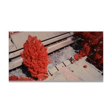 Imagem de LKXGRRSFG Árvore com folhas vermelhas, foto real, cidade, mar, neve, vale, rio, nascer do sol, impressão em tela para decoração de casa 60 x 108 cm, sem moldura