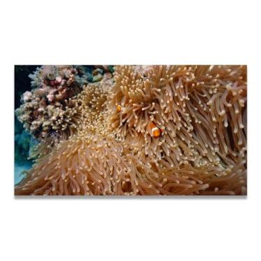 Imagem de LKXGRRSFG To HideReal Foto cidade mar neve vale pastagem rio pôr do sol nascer do sol impressão em tela decoração de parede 20 x 36 cm sem moldura