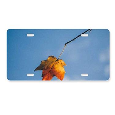 Imagem de DIYthinker Placa de licença Sky Maple Science Nature Scenery Decoração de aço inoxidável para automóvel