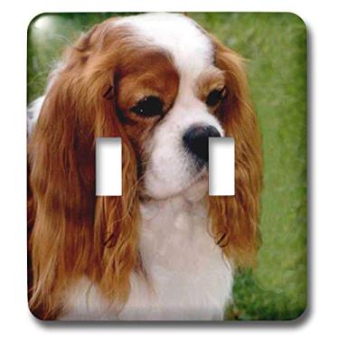 Imagem de 3dRose lsp_980_2" Cavalier King Charles Spaniels Interruptor duplo
