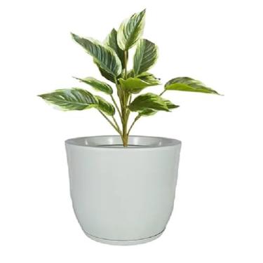 Imagem de Vaso De Planta Grande Bojo Com Prato G (cinza)