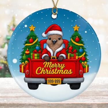 Imagem de DamienBrightGift Pomba de luto em caminhão vermelho enfeite de Natal - decoração de cerâmica de Papai Noel fofo - Presente de lembrança de feriado de animal engraçado - Decoração caprichosa de árvore