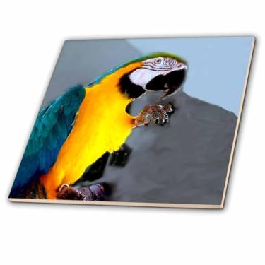 Imagem de 3dRose Arara azul e dourada - azulejo de cerâmica, 10 cm (ct_1049_1)