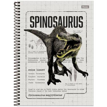 Imagem de Caderno Espiral Capa Dura Universitário Sauros 80 Folhas 1 Matéria Foroni Estampa 6