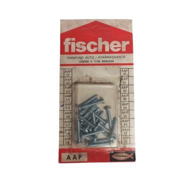 Imagem de Cartela C/Parafuso Auto-Atarrachante Aap 04 - Fischer