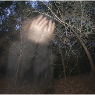 Imagem de The Singles (Olive Green, Neon Green, Dark Green Twister Vinyl) [Disco de Vinil]