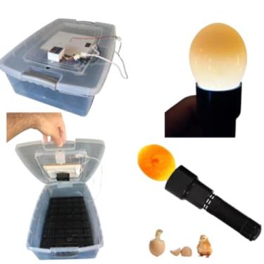 Imagem de Ovoscopio Mais Chocadeira Compacta Com Controle De Temperatura automático capacidade para 48 Ovos de Galinha ou 144 ovos de codorna