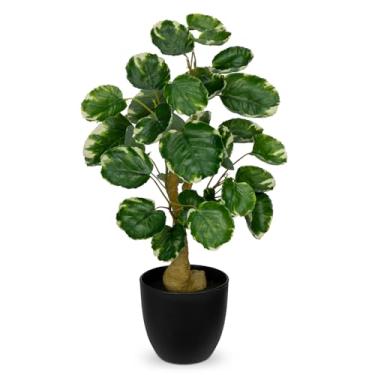Imagem de Planta de árvore de dinheiro falsa de 45,7 cm