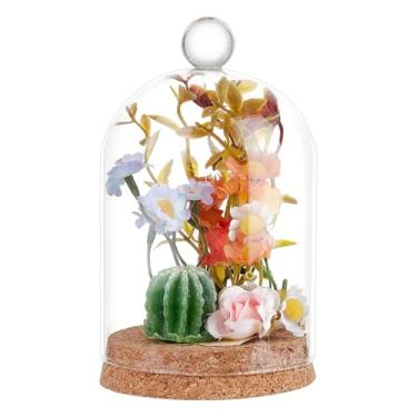 Imagem de BENECREAT Cloche de cúpula de vidro com alça superior redonda, frascos decorativos de cúpula de 14 x 9 cm, capa de vidro com base de cortiça para decoração de espécimes de plantas DIY
