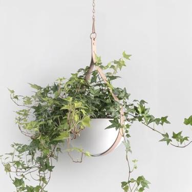 Imagem de Hajia Vaso suspenso em forma de gota d'água, cabide de metal para plantas com vaso não destacável, suporte de plantas para decoração de parede e teto (sem plantas e orifícios de drenagem) (bege, médio