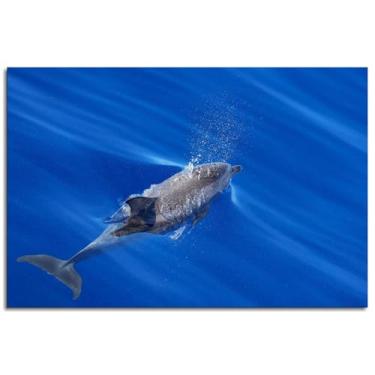 Imagem de Pop Up Canvas Prints Bubble Air Poster Wall Art For Home 1 peça Decorações Noframed 30.5 cmx20.3 cm