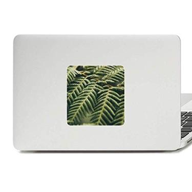 Imagem de Adesivo de vinil para laptop com desenho de plantas de folhas e decoração de policarbonato