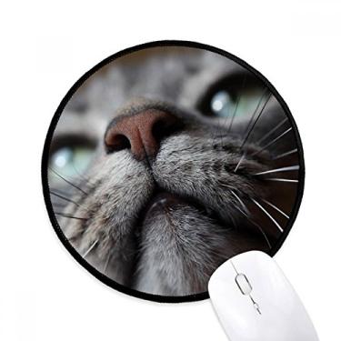 Imagem de Mouse pad com fotografia de gato com animal olhando para cima, tapete redondo para escritório