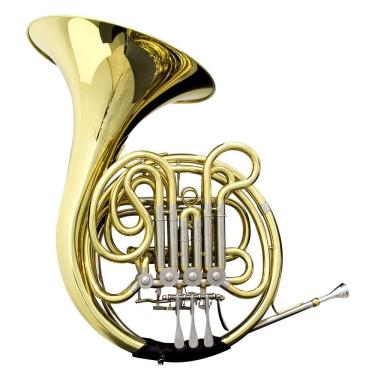 Imagem de Trompa TPA 420L Laqueada Dourada com Case New York