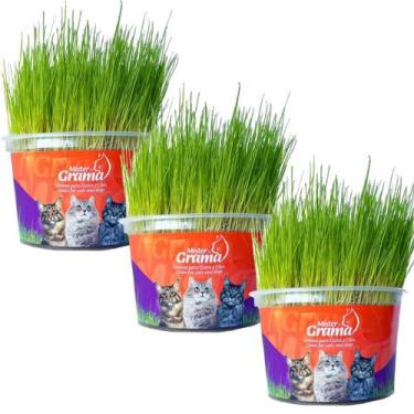Imagem de Grama Mister Para Gatos Bola De Pelo Kit 3 Unidades