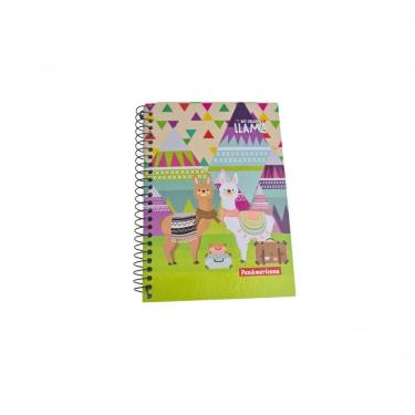 Imagem de Caderno Pequeno 48 Folhas Colorido