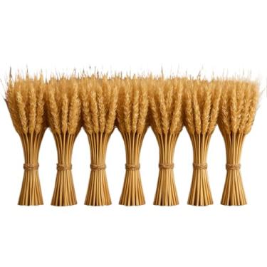 Imagem de 700 Hastes de Trigo Seco para Decoração – Flores Secas Elegantes para Arranjo de Mesa, Sala e Casamento