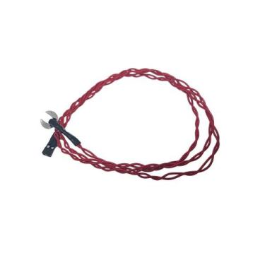 Imagem de Sensor Temperatura Autoclave Vt 12/21l Compatível Cristófoli - SS