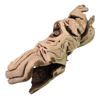 Imagem de Koyal Wholesale Decoração de ramo de madeira de toranja vazada de 45,7 cm, 1 peça de vaso central de toranja, plantas aéreas, madeira de videira jateada com areia, terrário, não tratada, decoração de