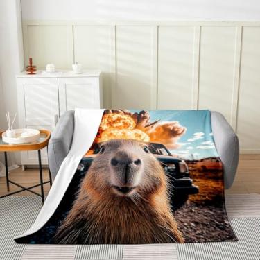Imagem de jejeloiu Cobertor infantil de flanela capivara de flanela solteiro 152 x 203 cm, cobertor felpudo para sofá, sofá, decoração de quarto, fogo, todas as estações, cobertor de pelúcia