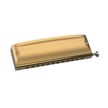 Imagem de Gaita profissional adequada para iniciantes e adultos gaita cromática profissional de 12 furos (ouro C)